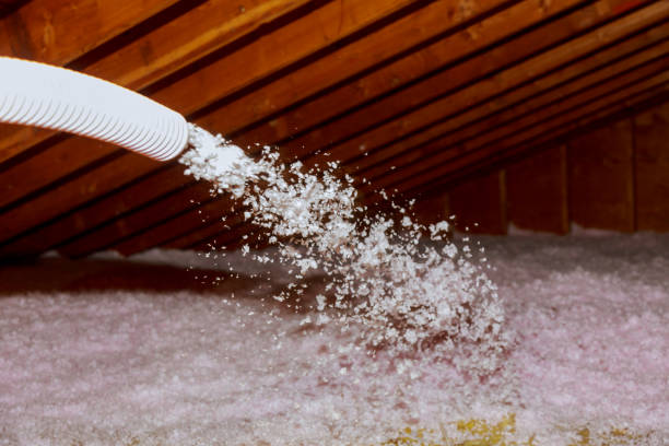 Best Insulation Installation Services in Angier, NC