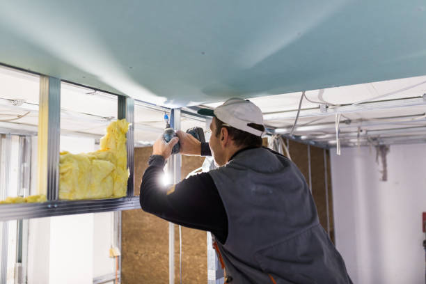 Best Insulation Maintenance and Repair in Angier, NC
